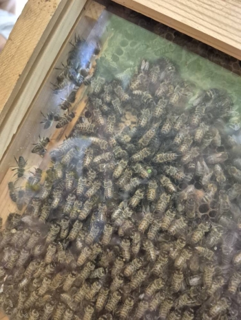 499044478_1162981662298271_3269677069854285439_n