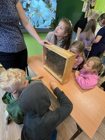 499067386_1162983998964704_8809930051793025108_n