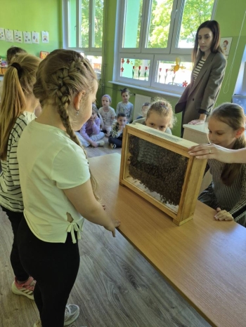 499186421_1162981972298240_8508853855097418325_n