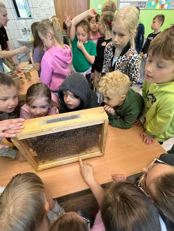 499646109_1162984065631364_7317901342695134697_n