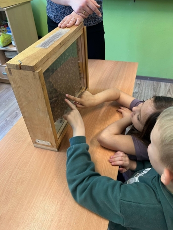 499671064_1162983015631469_4080698183939848454_n