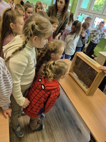 499970532_1162981558964948_7104766909844721617_n