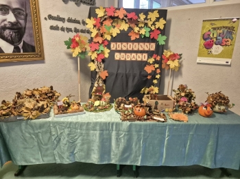 581063707_1303114121618357_5665205055827935684_n