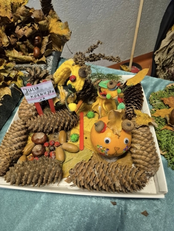 581033927_1303114968284939_3345680828887283777_n