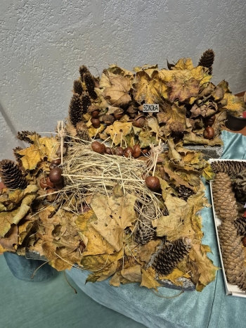 581003592_1303114454951657_8345044304926682911_n