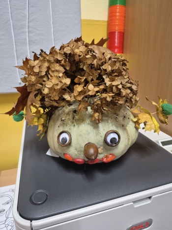 579082252_1303129224950180_6993069697551658949_n