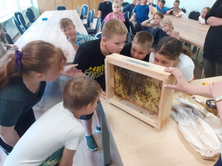 Światowy Dzień Pszczół - warsztaty dla klas I-III